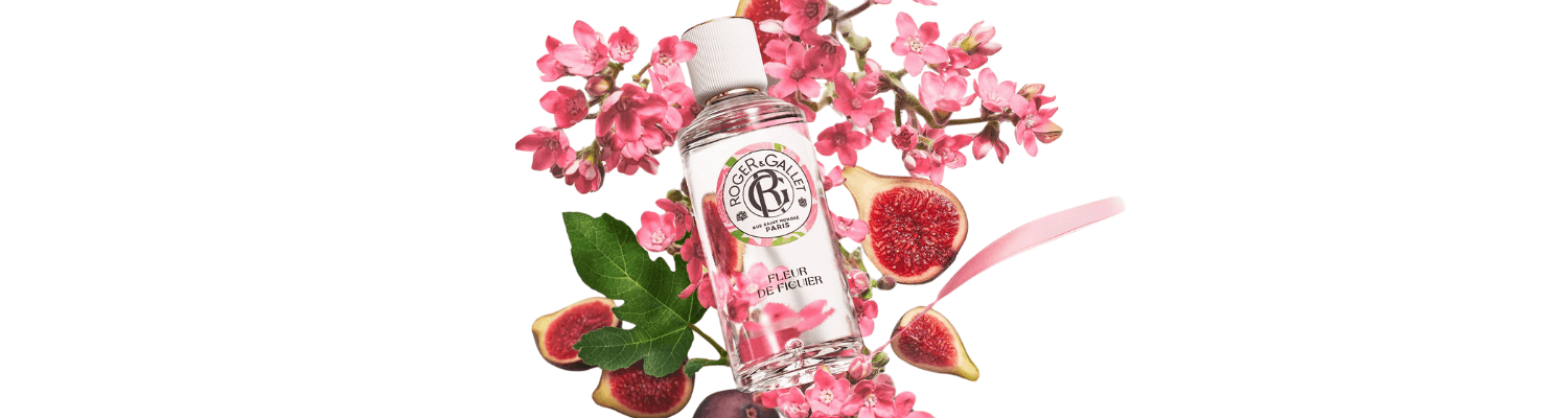 Fleur de Figuier