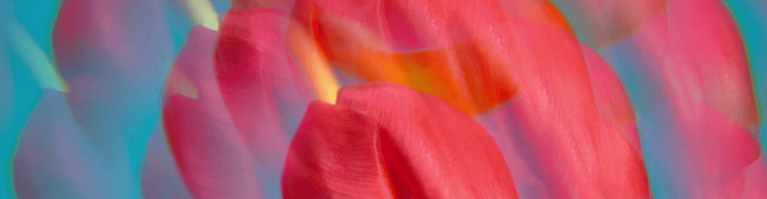 Fleur de Figuier