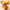Bois d'Orange Gel Douche Bienfaisant