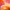 Gingembre Rouge Lait Corps Bienfaisant
