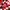 Gingembre Rouge Lait Corps Bienfaisant