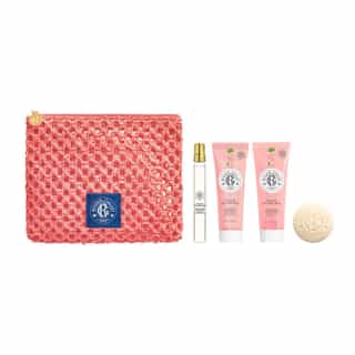 Fleur de Figuier Trousse Découverte