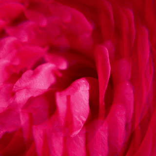 Gingembre Rouge Lait Corps Bienfaisant