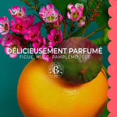 Fleur de Figuier Lait Corps Bienfaisant