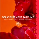 Gingembre Rouge Lait Corps Bienfaisant