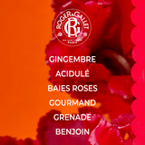 Gingembre Rouge Parfum Solide Bienfaisant