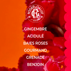 Gingembre Rouge Parfum Solide Bienfaisant