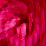 Gingembre Rouge Lait Corps Bienfaisant