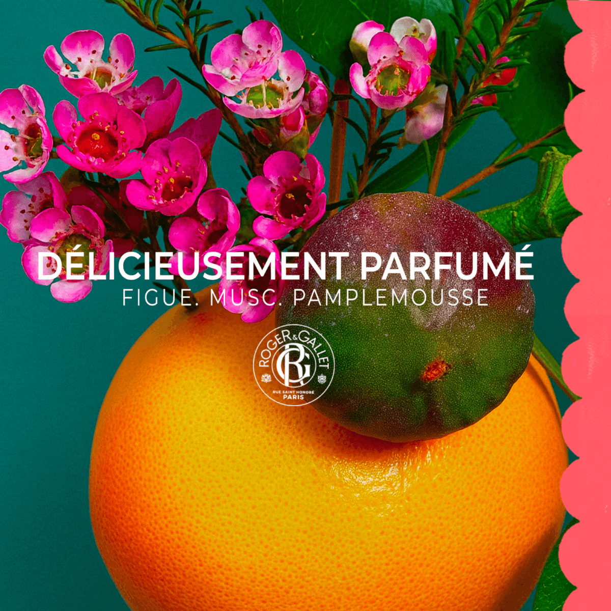 Fleur de Figuier Crème Mains Bienfaisante