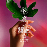 Fleur de Figuier Crème Mains Bienfaisante