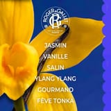 Vanille Soleil Parfum Solide Bienfaisant